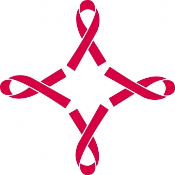 Strongest Link AID Services, Inc. Logo